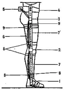 Assembly of three linked goniometers for the ankle, knee and hip with belt, connector and straps